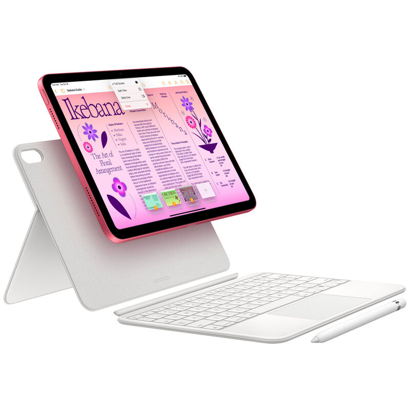 Apple iPad mini Wi-Fi + Cellular 64GB - Pink 6th Gen - Tablet PCs