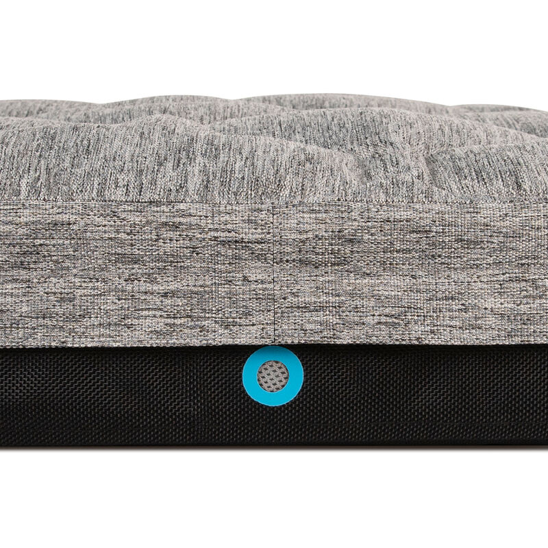 BedGear Performance Pet Bed - Small, , hires