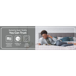 Sealy Lane Reflexion Firm Innerspring Queen Size Mattress, , hires