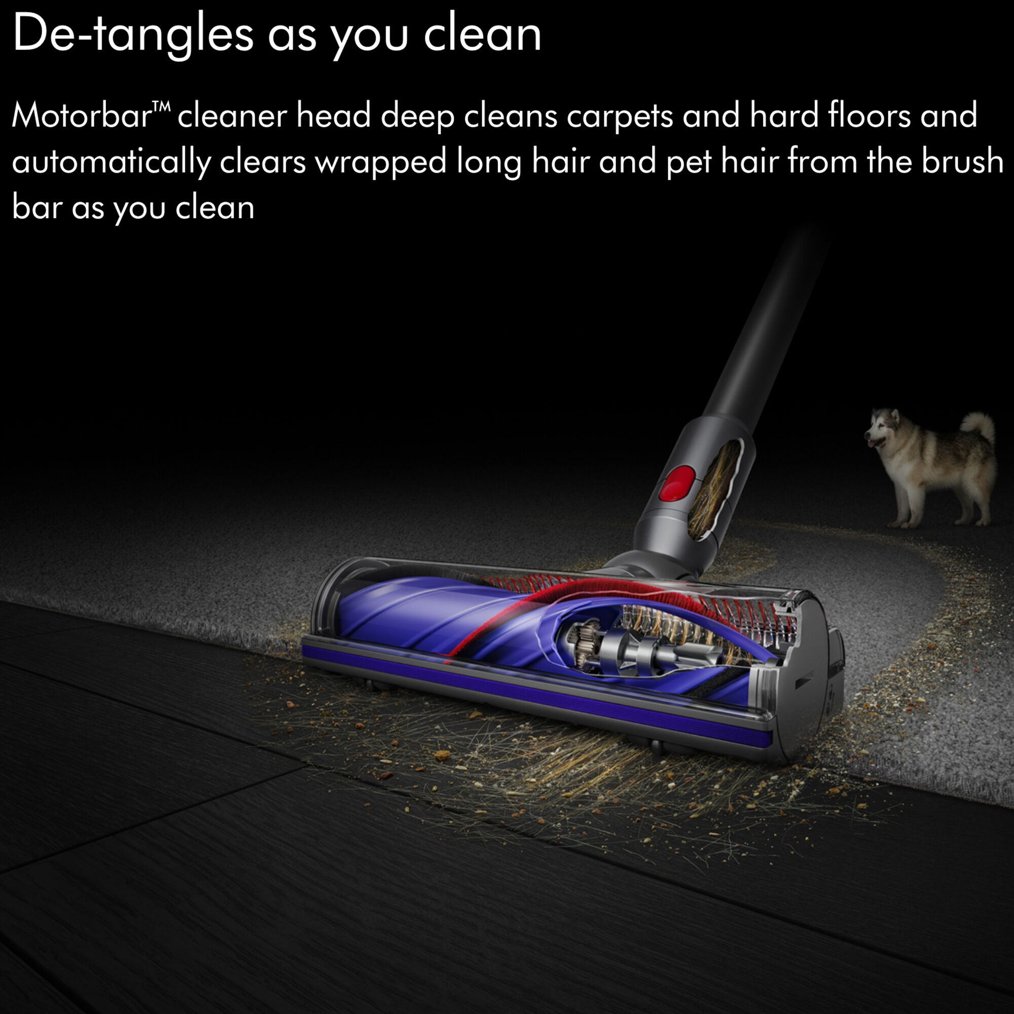 Clean dyson deals cordless vacuum