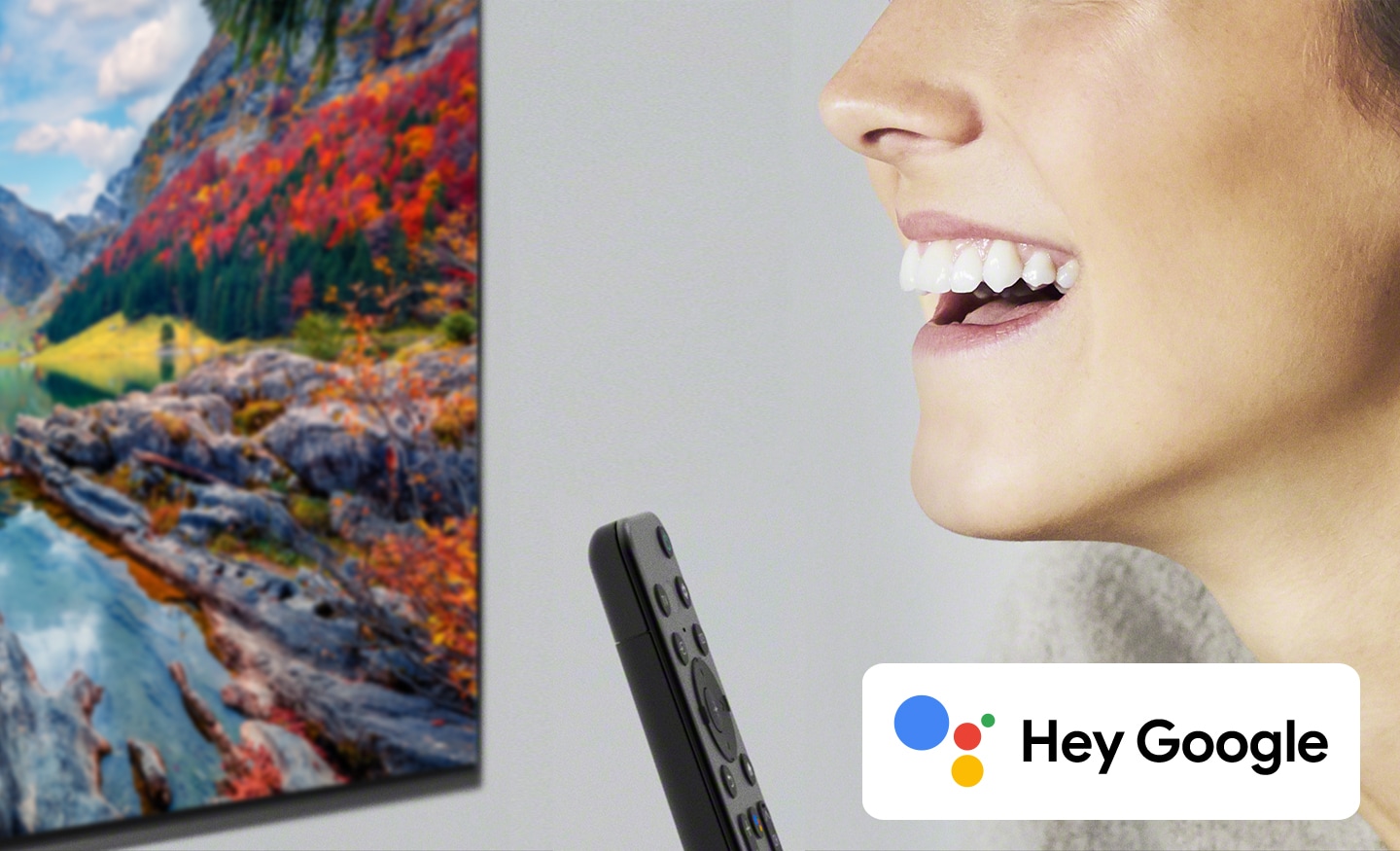 Sony X77L TV Hands-free help from Google Assistant