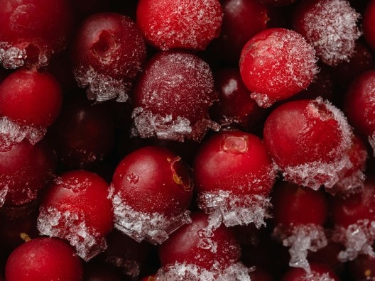 Berries covered in ice crystals
