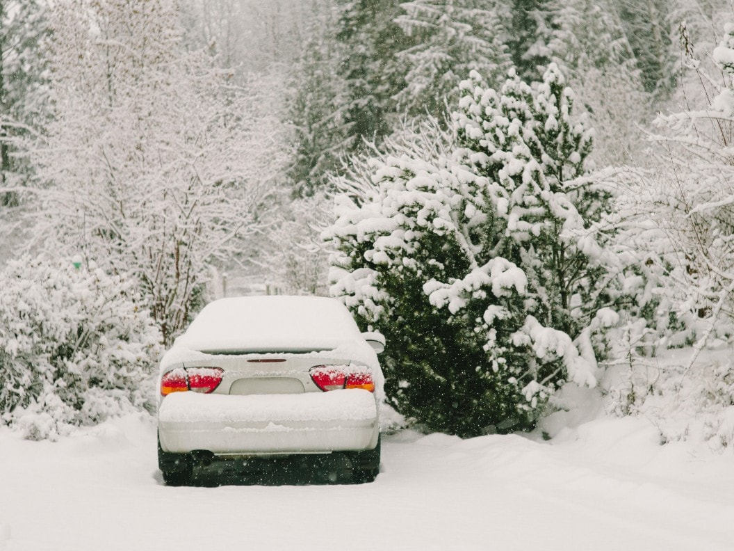 A car is covered in snow and is parked next to snowy trees.