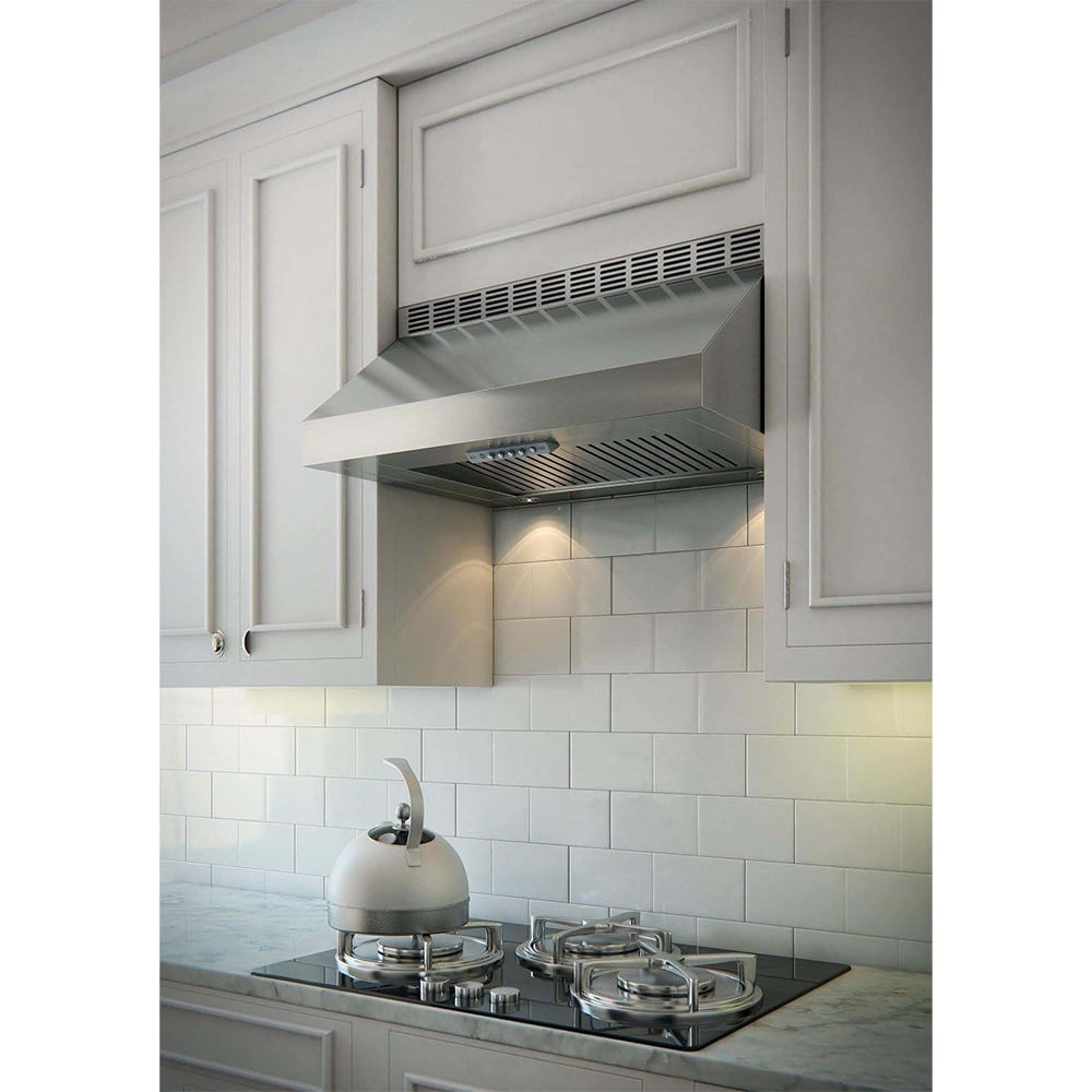 Xo 48 in. Standard Style Range Hood with 3 Speed Settings, 600 CFM & 2 ...